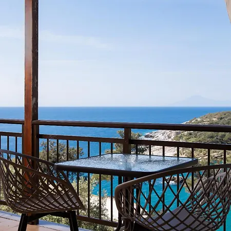 Archodissa Pansion Hotel Alikí