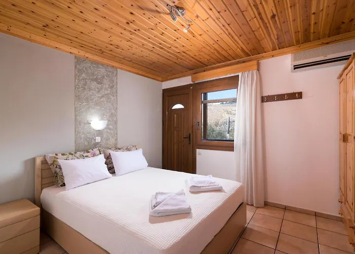 Archodissa Pansion Alikí